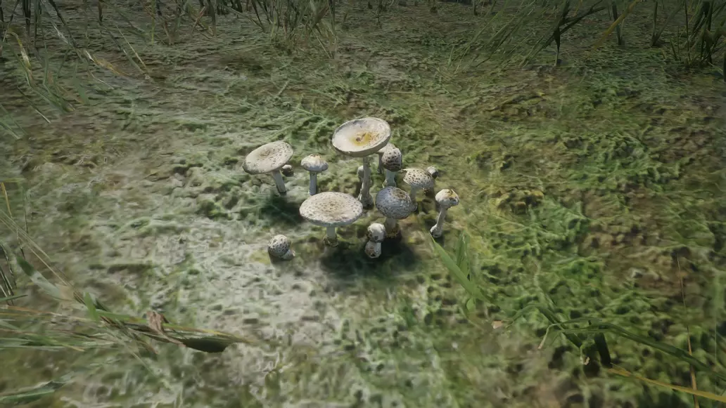 Parasol Mushroom locations - Red Dead Redemption 2 | Shacknews