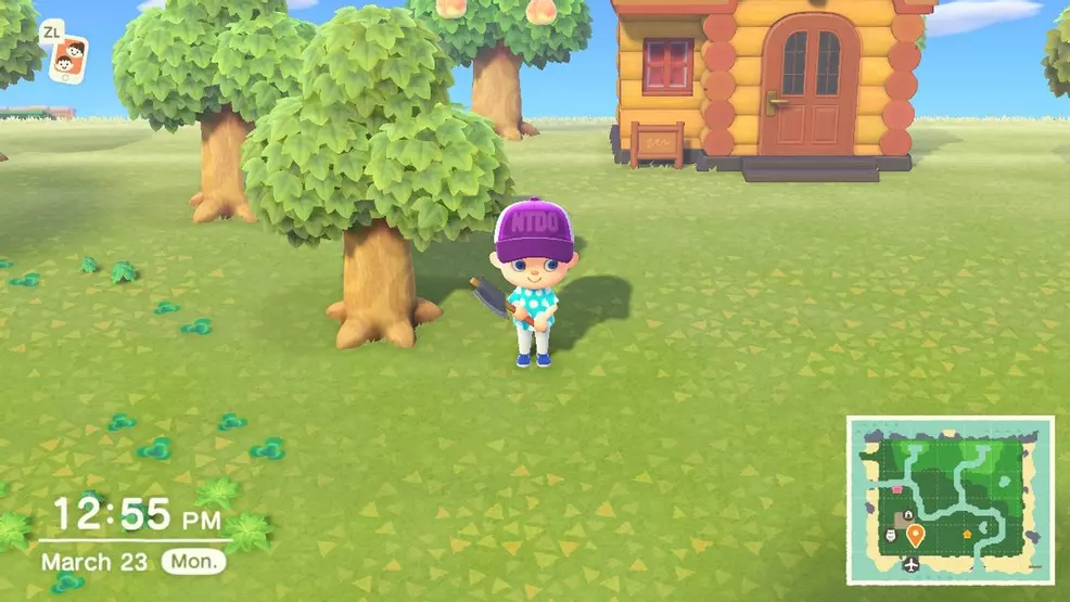 How to chop down trees - Animal Crossing: New Horizons | Shacknews